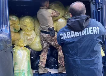 Carabinieri sequestrano 4 tonnellate di marijuana a Sarule