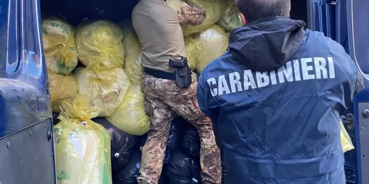 Carabinieri sequestrano 4 tonnellate di marijuana a Sarule