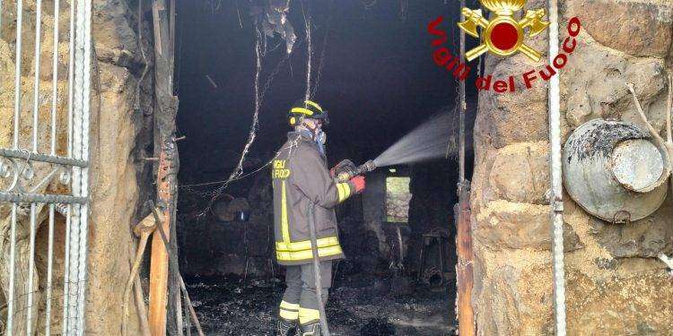 Orroli, in fiamme azienda agricola: uccisi numerosi animali