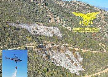 Sardegna, torna il caldo e gli incendi: 14 nelle ultime ore