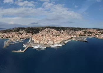 Allevamento ostriche del Pacifico a La Maddalena, dubbi del Grig