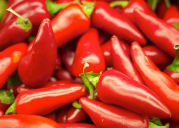 Piacere o dolore, l’effetto del piccante dipende dalle attese