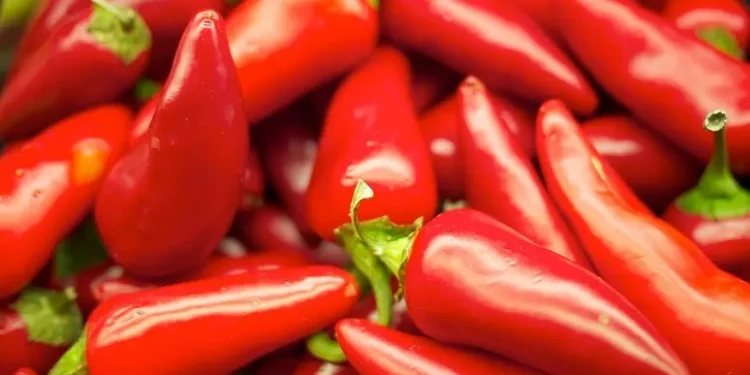 Piacere o dolore, l’effetto del piccante dipende dalle attese