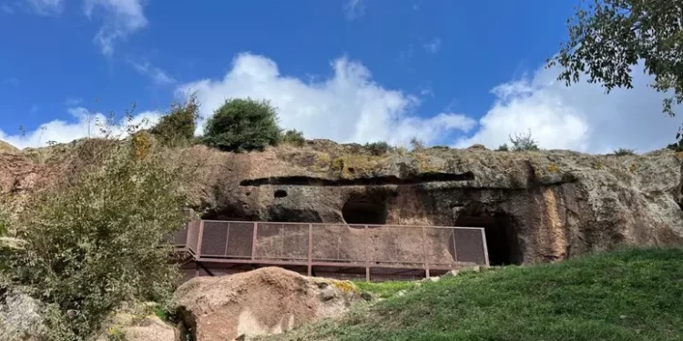 Scavi a nuraghe Porcarzos di Borore e nella necropoli di Bonorva