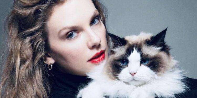 Taylor Swift in concerto a New Orleans, sgomberati i senzatetto dall’area del Superdome