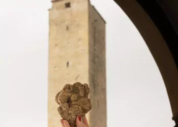 Città di Castello, conto alla rovescia per il tartufo bianco