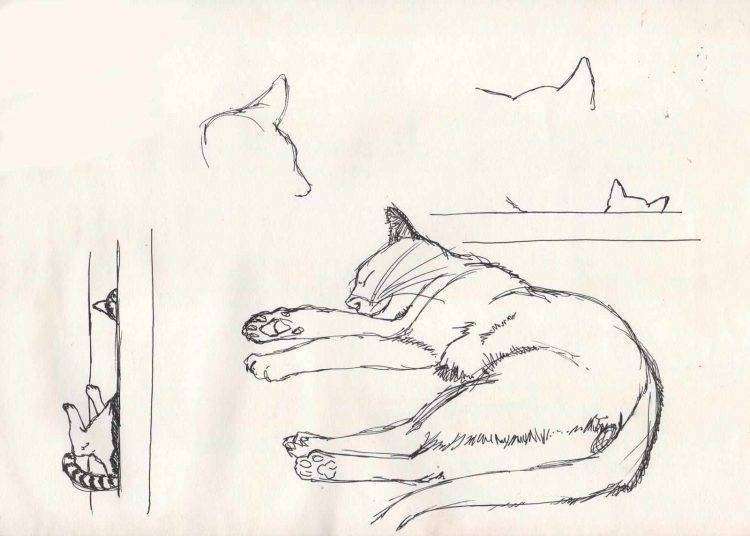 “Io parlo l’arte”: Germano Massenzio al Don Lorenzo Milani!