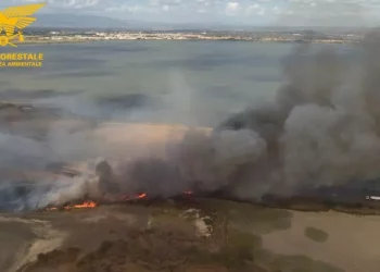 Bruciò rifiuti causando un vasto incendio, indagato 52enne