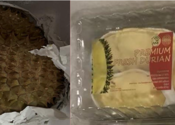 Pesticidi oltre i limiti, richiamato durian intero e sgusciato dalla Thailandia
