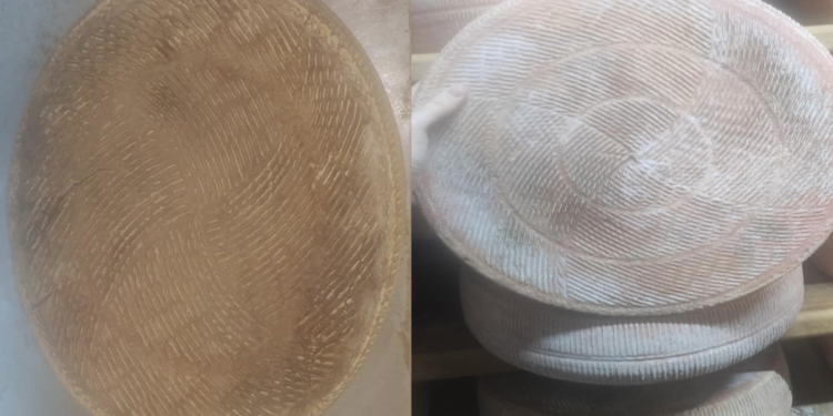 Caso di escherichia coli in una bambina, ministero della salute segnala ritiro formaggio trentino. Allerta per rischio microbiologico