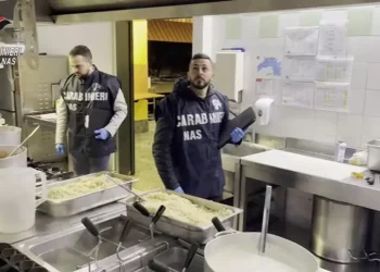 Controlli Nas nelle mense scolastiche, irregolari 1 su 4