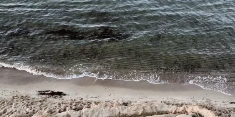 Scultura di sabbia per ricordare i 4 ragazzi morti nel Nuorese