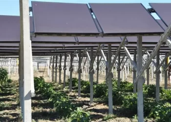 Stop a mega impianto agrivoltaico 360 MW a Sassari