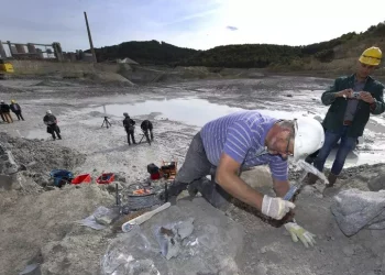 Trovato un ecosistema preistorico fossile in Valtellina