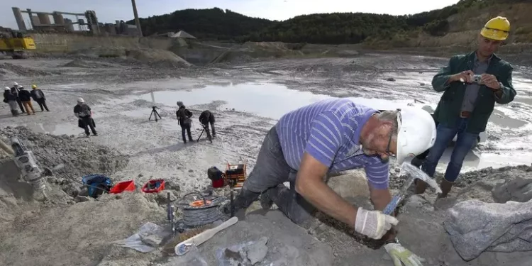 Trovato un ecosistema preistorico fossile in Valtellina