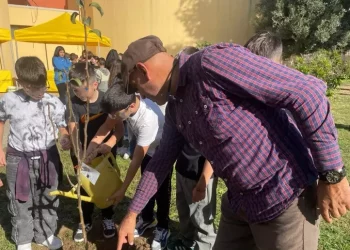 Festa dell’albero a Quartu con 1500 studenti