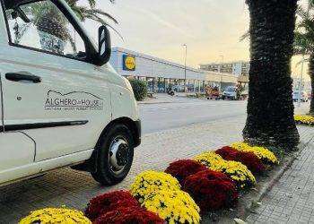 Alghero, decoro urbano e alberate: al via il programma di potature per oltre 1.000 alberi