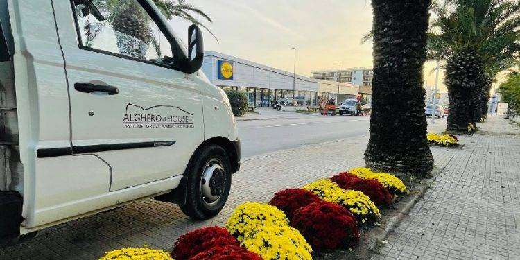 Alghero, decoro urbano e alberate: al via il programma di potature per oltre 1.000 alberi