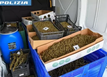Blitz della polizia, 60 kg di marijuana sequestrati a Oristano