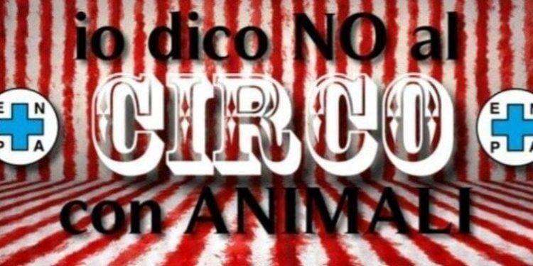 Voghera dice no al circo con animali: parte la raccolta di firme