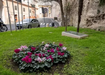 A Cagliari messe a dimora oltre duemila fioriture stagionali