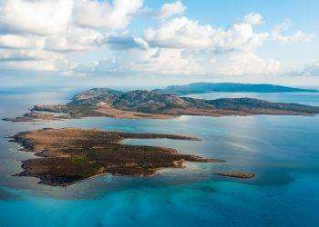 Gestione siti rete Natura 2000 – Bando 2024: al via manifestazione d’interessersi