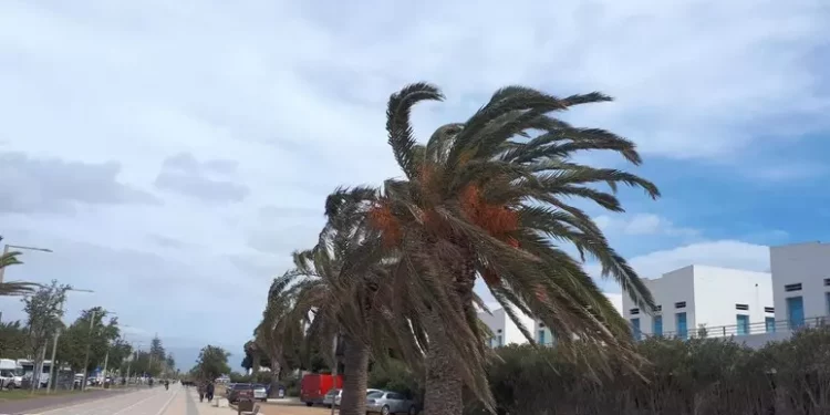 Vento e freddo in arrivo in Sardegna