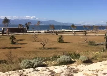 Zedda, ‘da variazioni bilancio fondi per aree verdi e strade’