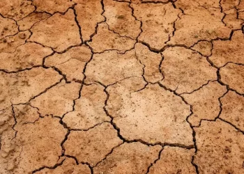 Siccità, arrivano gli indennizzi per le imprese zootecniche