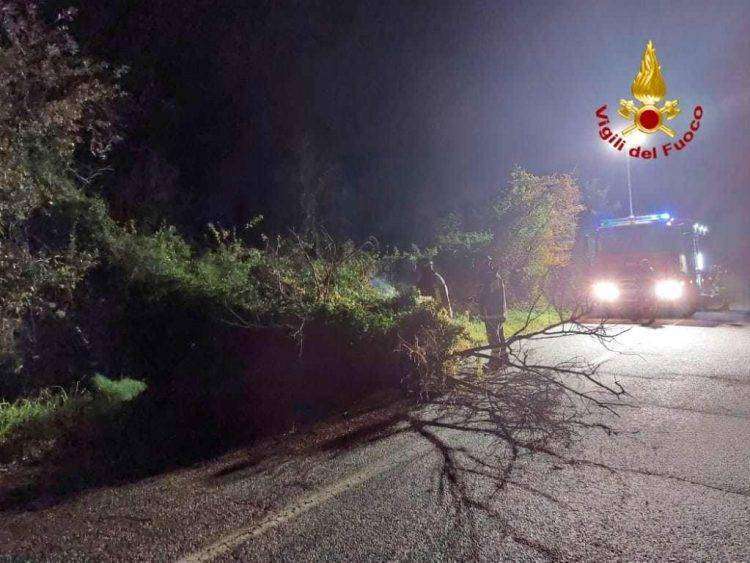 Burrasca nell’Oristanese: alberi crollati e disagi ai cittadini