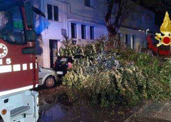 Maltempo ad Alghero, crolla grosso ramo su due auto