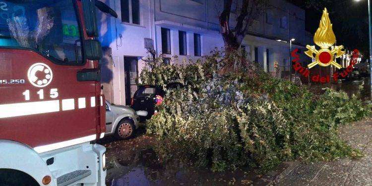 Maltempo ad Alghero, crolla grosso ramo su due auto