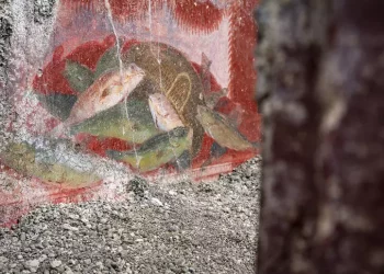 A Pompei affreschi di nature morte dagli scavi della Regio IX