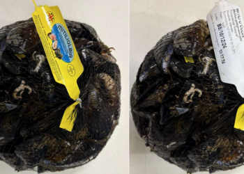 Cozze richiamate per il superamento dei limiti microbiologici. Scattata allerta del ministero della Salute