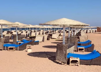 Due turisti italiani attaccati da uno squalo a Marsa Alam: uno è morto, l’altro è rimasto ferito
