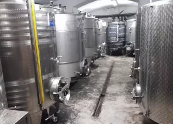 Festeggia i 100 anni il metodo classico in Sardegna