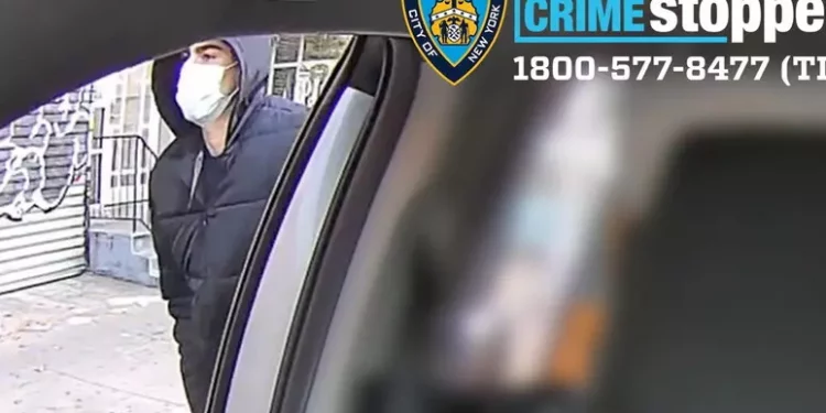 Identificato il sospetto killer del ceo, si chiama Luigi Mangione