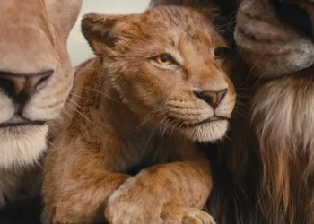 Il cinema più atteso per le Feste da Mufasa a Ozpetek