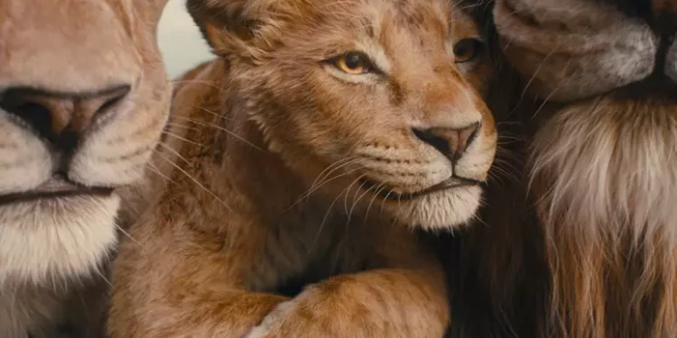 Il cinema più atteso per le Feste da Mufasa a Ozpetek