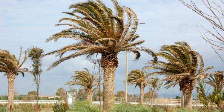 Maltempo, bufera di vento: chiusi a Cagliari parchi e cimiteri