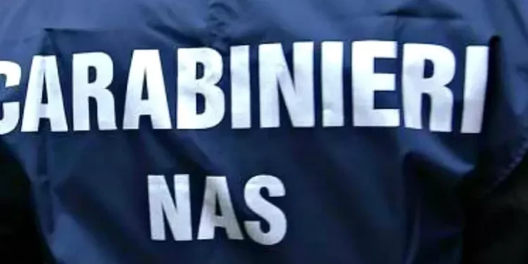 Controlli Nas, un b&b in un garage, 1 su 5 irregolare