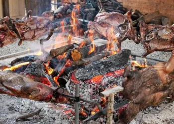 Procargius a Seulo, tra allevamento montano e foreste