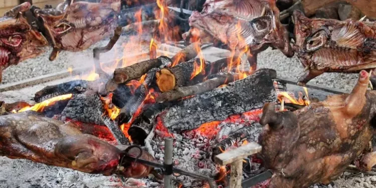 Procargius a Seulo, tra allevamento montano e foreste