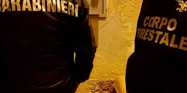 Spaccio di droga e furti in Baronia, sgominata una banda