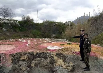 Ecomafie: in 30 anni 900mila reati, uno ogni 18 minuti