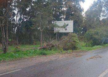 Bufera di maestrale sull’isola: oltre 100 richieste d’intervento ai Vigili del Fuoco
