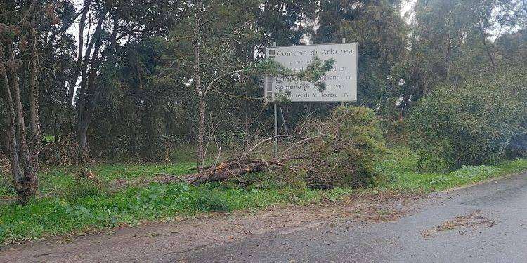 Bufera di maestrale sull’isola: oltre 100 richieste d’intervento ai Vigili del Fuoco