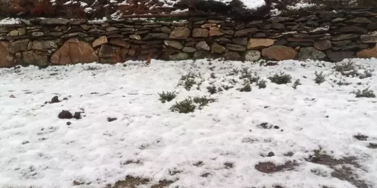 Con la tempesta polare neve sotto gli 800 metri in Sardegna