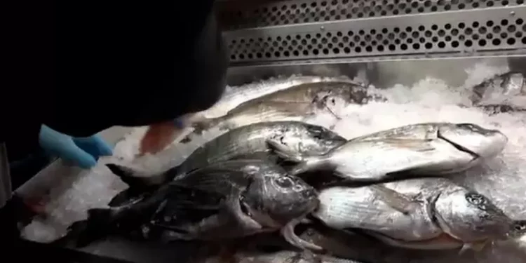 Pesce rubato in stabulari servito in ristoranti dell’Oristanese