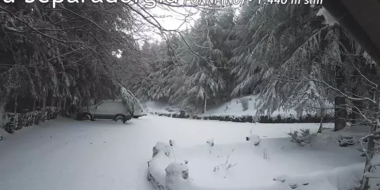Neve in Sardegna, 30 centimetri in 24 ore sul Gennargentu
